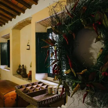 Casa Bini